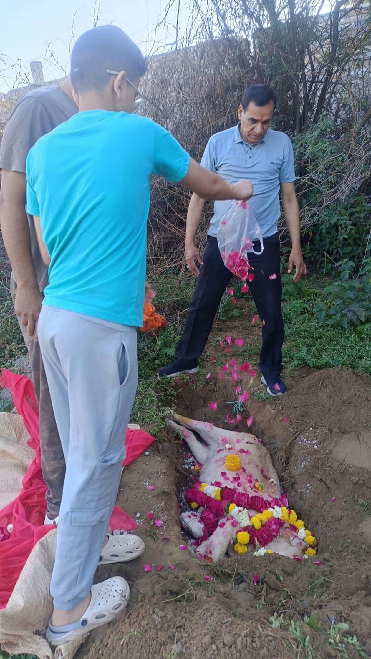 अंतिम समय में गीता का 18वां अध्याय सुनकर विदा हुई ‘ब्यूटी’